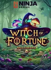 Witch Of Fortune Multiways