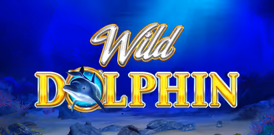 Wild Dolphin