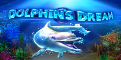 Dolphins Dream