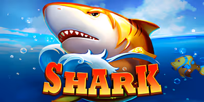 Shark