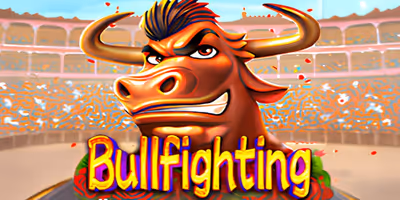 Bullfighting