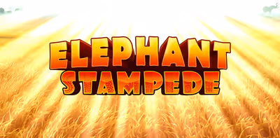 Elephant Stampede 96