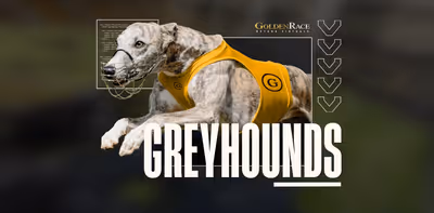 Dog H.Odds - ondemand