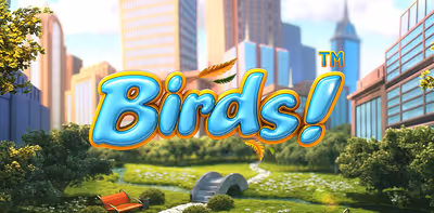 Birds