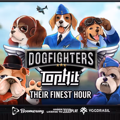 Dogfighters – Their Finest Hour